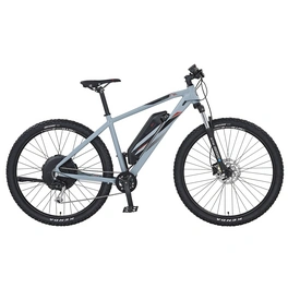 E-Bike Unisex, 29 zoll, 9-Gang