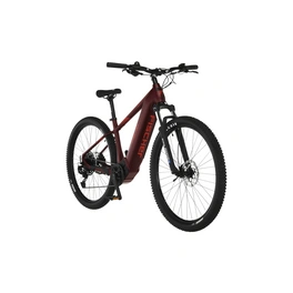 E-Mountainbike »MONTIS 7.0i«, 29 Zoll, RH: 43 cm, 12-Gang