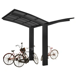 Einzelcarport »Portoforte Mini«, Typ 60, Außenmaß BxT: 404 x 253,8 cm, schwarz