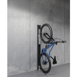 Fahrradhalterung, Länge: 182,8 cm, dunkelgrau-metallic, für: Gerätehaus Neo