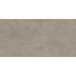 Feinsteinzeug »Stamford«, grau matt, 59,8x119,8x0,6 cm, rektifiziert