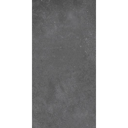 Feinsteinzeugfliese »Betonico«, BxL: 30 x 60 cm, Beton-Optik