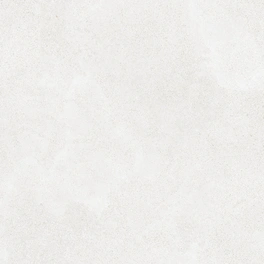 Feinsteinzeugfliese »Betonico«, BxL: 60 x 60 cm, Beton-Optik