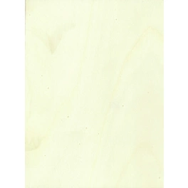 Furnierplatte 1850 x 2520 mm, Pappelholz, pappelfarben