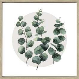 Gerahmtes Bild »Different Eucalyptus Branches l«, Rahmen: Holzwerkstoff, natur