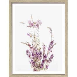 Gerahmtes Bild »Dried Fiber Purple Flower«, Rahmen: Holzwerkstoff, natur