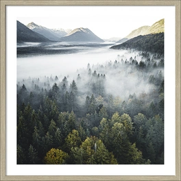 Gerahmtes Bild »Foggy Forest Atmosphere«, Rahmen: Holzwerkstoff, natur