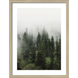 Gerahmtes Bild »Foggy Trees II«, Rahmen: Holzwerkstoff, natur