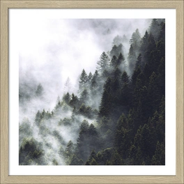 Gerahmtes Bild »Foggy Trees«, Rahmen: Holzwerkstoff, natur