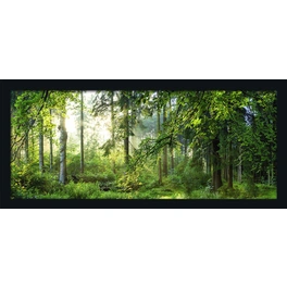 Gerahmtes Bild »Forest Harmony«, Rahmen: Holzwerkstoff, schwarz