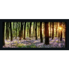 Gerahmtes Bild »Forest«, Rahmen: Holzwerkstoff, schwarz