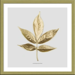 Gerahmtes Bild »Golden Leaf I«, Rahmen: Holzwerkstoff, goldfarben