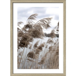 Gerahmtes Bild »In The Breeze VI«, Rahmen: Holzwerkstoff, natur