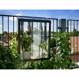 Gewächshaus »Urban Balcony«, BxT: 27 x 60 cm, 3 mm Sicherheitsglas