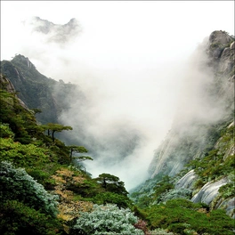Glasbild »Foggy Mountain Forest I«, mehrfarbig, Digitaldruck