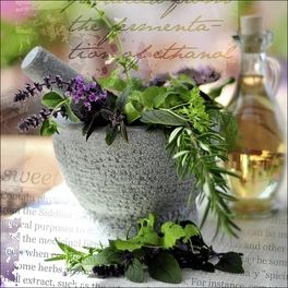Glasbild »herbage pestle I«, mehrfarbig, Digitaldruck