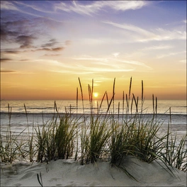 Glasbild »Lonely Dune«, mehrfarbig, Digitaldruck