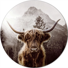 Glasbild »Scottish Highland Cattle«, mehrfarbig, Digitaldruck