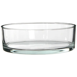 Glasschale Kenny, H 8 x D 25 cm, transparent, rund