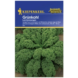 Grünkohl oleracea var. sabellica Brassica