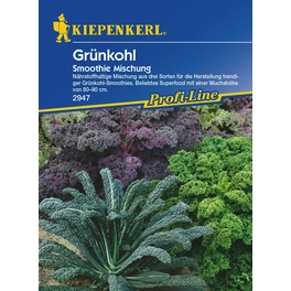 Grünkohl »Smoothie Mischung«, ca. 200 Pflanzen