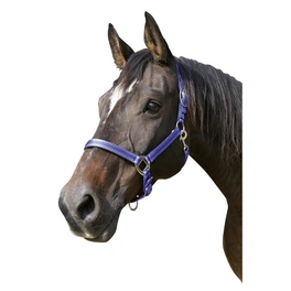 Halfter »Mustang«, passend für , Gr. 3, royalblau/schwarz