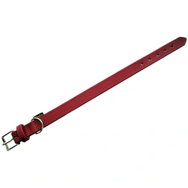 Halsband, Florenz, 2,5/ 40 cm, Rindsleder, Rot