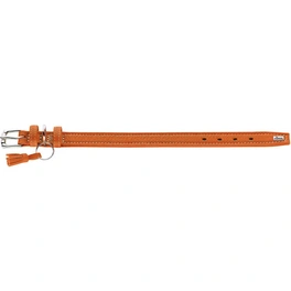 Halsband, Gr. XS-S, orange