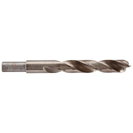 Holzspiralbohrer »Professional«, Ø 16 mm