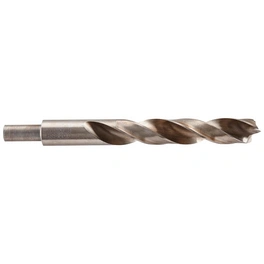 Holzspiralbohrer »Professional«, Ø 20 mm