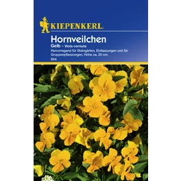 Hornveilchen »Gelb«, ca. 30 Pflanzen