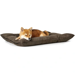 Hunde-Bett, BxHxL: 60 x 10 x 80 cm, braun