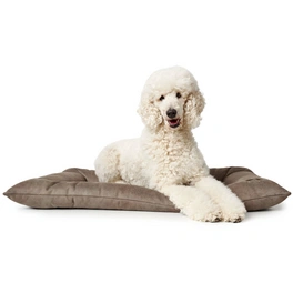 Hunde-Bett, BxHxL: 60 x 10 x 80 cm, stein