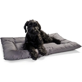 Hunde-Bett, BxHxL: 60 x 8 x 80 cm, grau