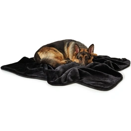 Hunde-Decke, BxL: 70 x 100 cm, schwarz