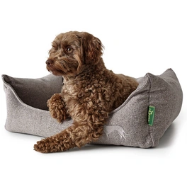 Hunde-Sofa, BxHxL: 45 x 20 x 60 cm, grau