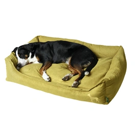 Hunde-Sofa, BxHxL: 70 x 26 x 100 cm, gelb