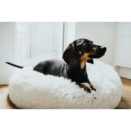 Hundebett und Katzenbett, BxL: 60 x 60 cm, weiß