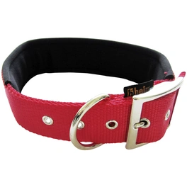 Hundehalsband, Größe: 40 cm, rot