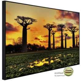 Infrarotheizung »EcoHeat - Baobabs Bäume Afrik. Sonnenuntergang«, Matt-Effekt