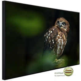 Infrarotheizung »EcoHeat - Brown Wood Owl«, Matt-Effekt