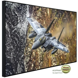 Infrarotheizung »EcoHeat - F15 Strike Eagle Fighter«, Matt-Effekt