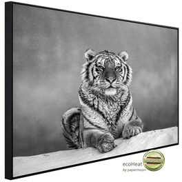 Infrarotheizung »EcoHeat - Tiger Portrait Schwarz + Weiss«, Matt-Effekt