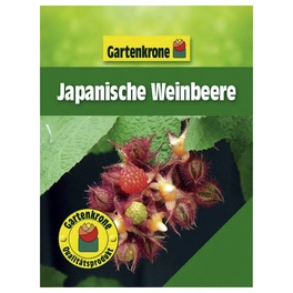 Japanische Weinbeere, Rubus phoenicolasius, Frucht: rot, zum Verzehr geeignet