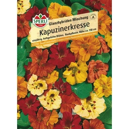 Kapuzinerkresse »Glanzhybriden Mischung«, einjährig, duftende, halbgefüllte Blüten, Höhe ca. 150 cm
