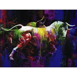 Keilrahmenbild »Colourful Bull«, Rahmen: Holzwerkstoff, natur