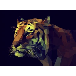 Keilrahmenbild »Colourful Tiger«, Rahmen: Holzwerkstoff, natur