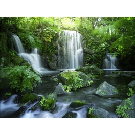 Keilrahmenbild »Forest + Waterfall I«, Rahmen: Holzwerkstoff, natur