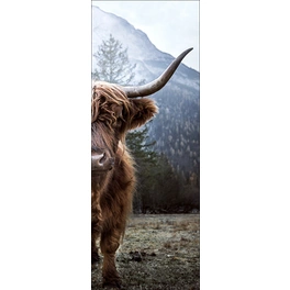 Keilrahmenbild »Scottish Highland Cattle«, Rahmen: Holzwerkstoff, natur