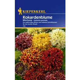 Kokardenblume »Mischung«, ca. 40 Pflanzen